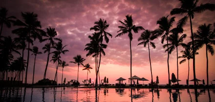 Requisitos de visa para los titulares de pasaporte de México que viajan a Sri Lanka